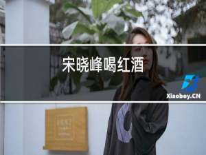 宋晓峰喝红酒