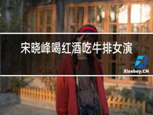 宋晓峰喝红酒吃牛排女演员