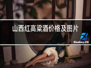 山西红高粱酒价格及图片