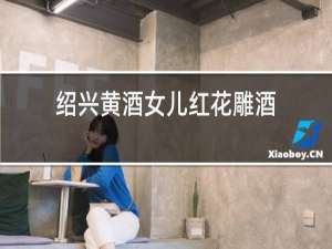 绍兴黄酒女儿红花雕酒