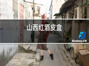 山西红酒皮盒