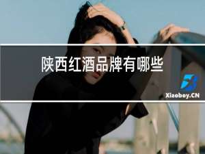 山西红酒品牌有哪些