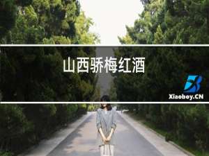 山西骄梅红酒