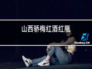 山西骄梅红酒红瓶