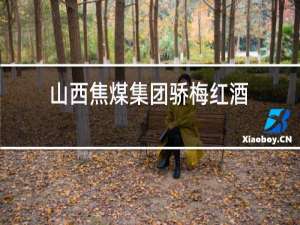 山西焦煤集团骄梅红酒
