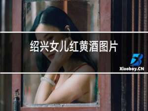 绍兴女儿红黄酒图片