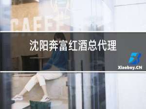 沈阳奔富红酒总代理