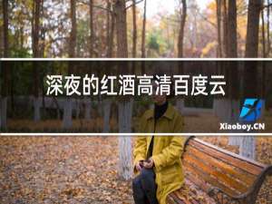 深夜的红酒高清百度云
