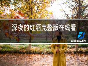 深夜的红酒完整版在线看