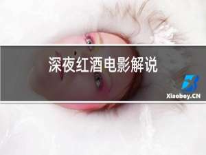 深夜红酒电影解说