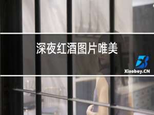 深夜红酒图片唯美