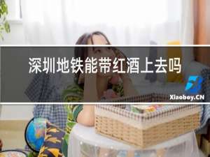 深圳地铁能带红酒上去吗