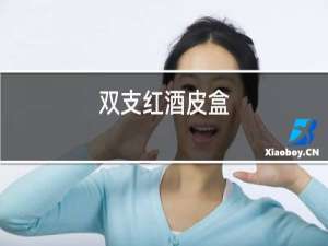双支红酒皮盒