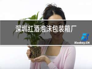 深圳红酒泡沫包装箱厂