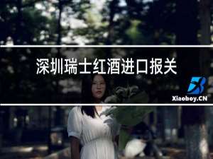 深圳瑞士红酒进口报关