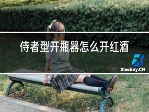 侍者型开瓶器怎么开红酒视频