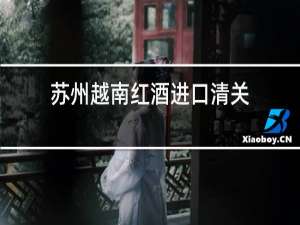 苏州越南红酒进口清关
