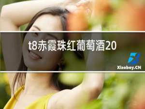 t8赤霞珠红葡萄酒2017