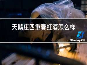 天鹅庄四重奏红酒怎么样