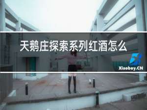 天鹅庄探索系列红酒怎么样