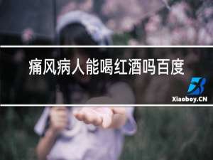 痛风病人能喝红酒吗百度文库