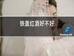铁盖红酒好不好