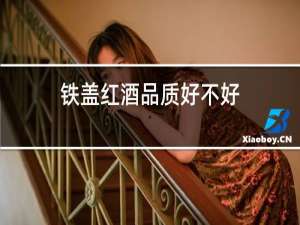 铁盖红酒品质好不好