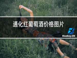 通化红葡萄酒价格图片
