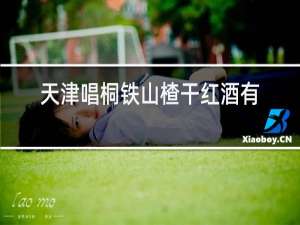 天津唱桐铁山楂干红酒有66毫升的吗