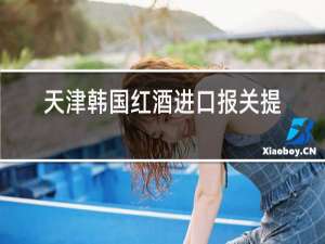 天津韩国红酒进口报关提供资料