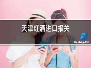 天津红酒进口报关