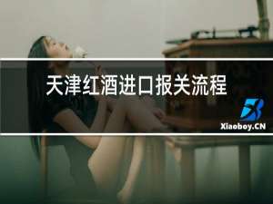 天津红酒进口报关流程