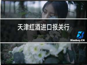 天津红酒进口报关行