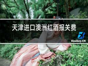 天津进口澳洲红酒报关费用多少