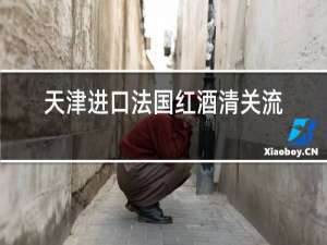 天津进口法国红酒清关流程步骤