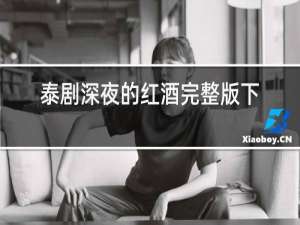 泰剧深夜的红酒完整版下载