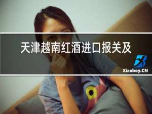 天津越南红酒进口报关及订舱