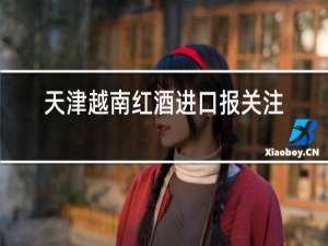 天津越南红酒进口报关注意事项