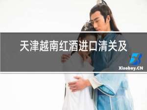 天津越南红酒进口清关及订舱
