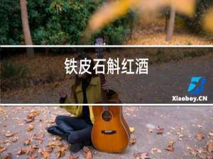 铁皮石斛红酒