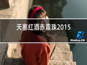 天塞红酒赤霞珠2015价格表