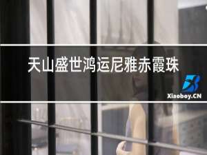 天山盛世鸿运尼雅赤霞珠干红葡萄酒价格