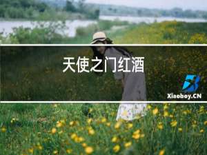 天使之门红酒