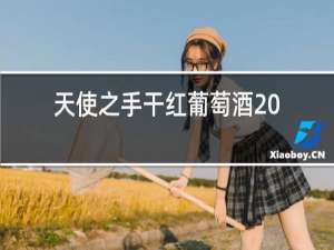 天使之手干红葡萄酒2016