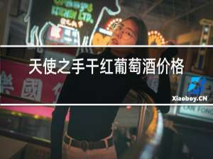 天使之手干红葡萄酒价格真假辨别