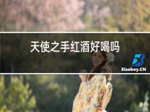 天使之手红酒好喝吗