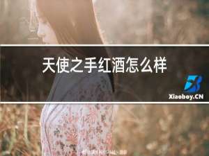 天使之手红酒怎么样