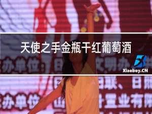 天使之手金瓶干红葡萄酒价格
