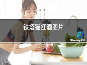 铁塔猫红酒图片