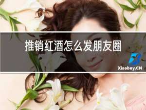 推销红酒怎么发朋友圈